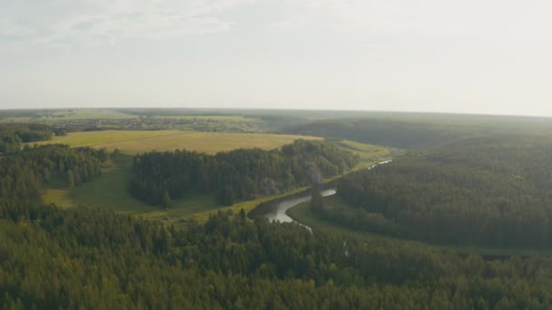 Widok z lotu ptaka na rzekę ze skałą i lasem na brzegu — Wideo stockowe