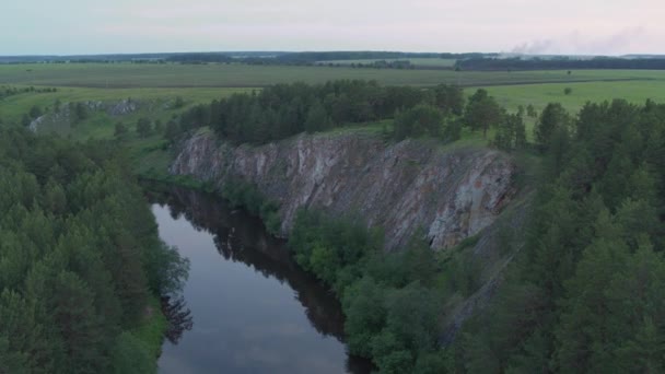 Вид с воздуха на реку с гладкой водой и лесом на берегу — стоковое видео