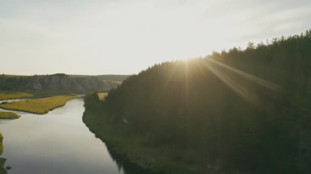 Вид с воздуха на реку с гладкой водой и лесом на берегу — стоковое видео