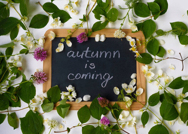 Доска в деревянной рамке со знаком осень приходит с увядающими цветами и растениями, плоский
.
