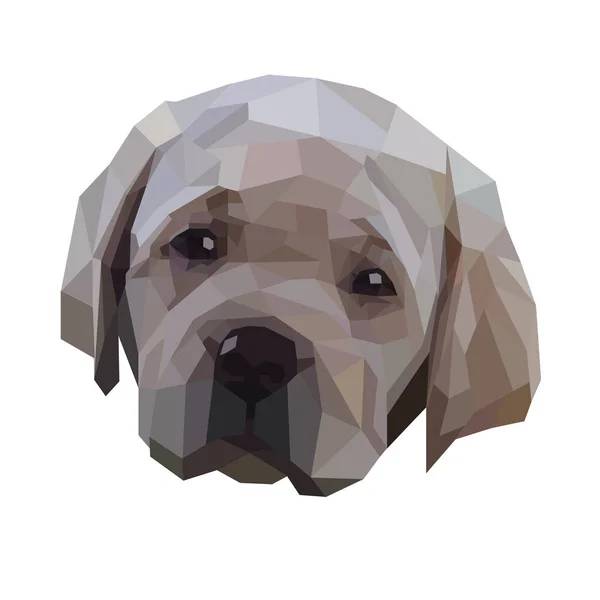 Cute Dog Cute Labrador Vector Dog Polygonal Dog Good Friend — Stock Vector