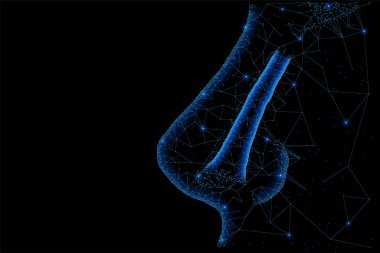 Burun yapısının soyut poligonal ışık. İş tel kafes kafes küre enkaz uçan üzerinden. İnsan burun anatomisi kavramı. Mavi yapı tarzı raster resimde geometri üçgen ile.