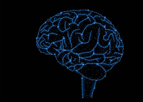 Menselijk brein structuur — Stockfoto