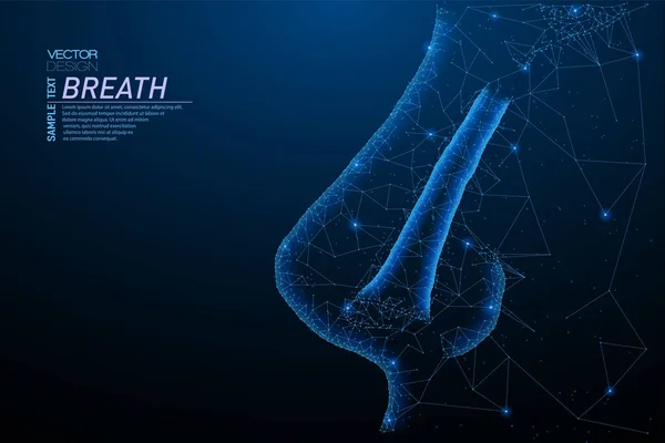 Burun yapısının soyut poligonal ışık. İş tel kafes kafes küre enkaz uçan üzerinden. İnsan burun anatomisi kavramı. Mavi yapı stil vektör çizim geometri üçgen ile.