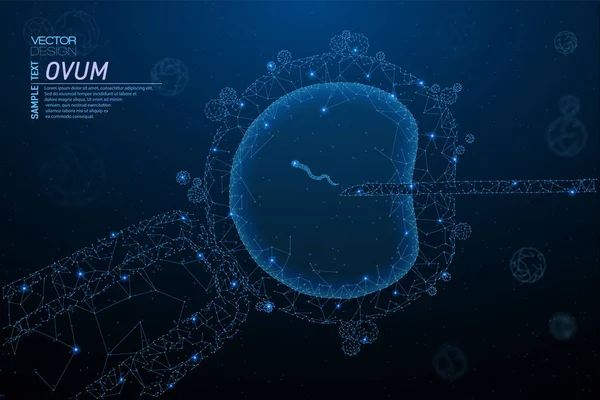 Hücre enjeksiyon soyut poligonal ışık. İş tel kafes kafes küre enkaz uçan üzerinden. Suni döllenme kavramı. Mavi yapı stil vektör çizim geometri üçgen ile.