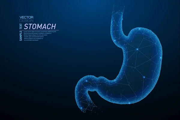 Soyut poligonal ışık sağlıklı mide yapısı. İş tel kafes kafes küre enkaz uçan üzerinden. Sindirim organı kavramı. Mavi yapı stil vektör çizim geometri üçgen ile.