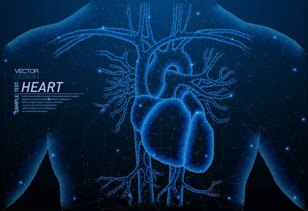 Sağlıklı kalp yapısının soyut poligonal ışık.