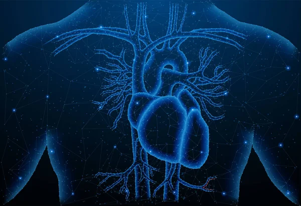 Sağlıklı kalp yapısının soyut poligonal ışık.