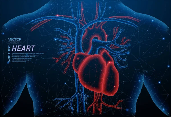 Sağlıklı kalp yapısının soyut poligonal ışık.