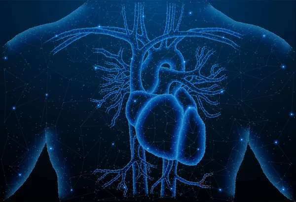 Luz poligonal abstrata da estrutura cardíaca saudável . —  Vetores de Stock