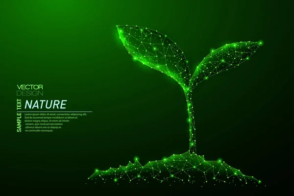 Dünya'dan filiz soyut poligonal ışık