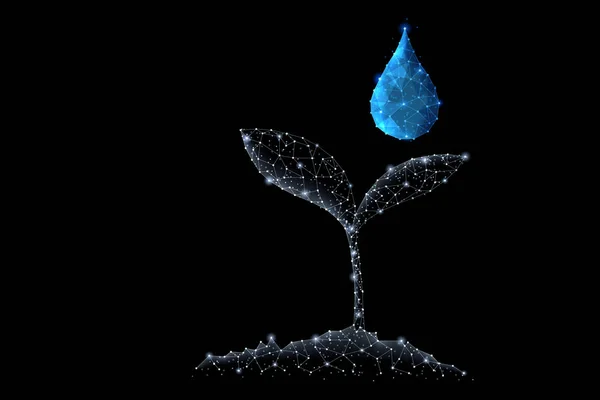 Abstract veelhoekige licht ontwerp van groeiende Sprout en schoon waterdruppel — Stockfoto