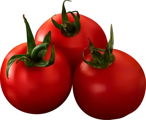 Tomaten Geïsoleerd Een Witte Achtergrond Fotorealistische Vectorillustratie — Stockvector