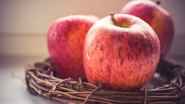 Apple harvest, Oktoberfest. Apple spas, apples in the nest