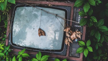 Retro Tv çim olduğunu. Çim ile büyümüş eski TV.