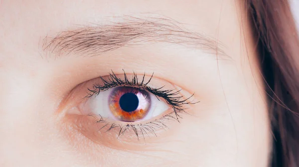 Gros Plan Des Yeux Karego Une Belle Jeune Femme Yeux — Photo