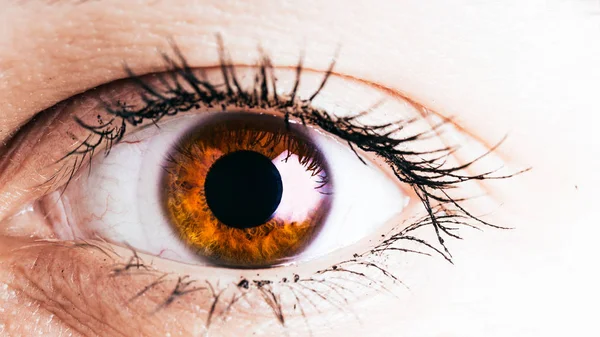 Zbliżenie Oczy Karego Pięknej Młodej Kobiety Brązowe Oczy Bardzo Blisko — Zdjęcie stockowe