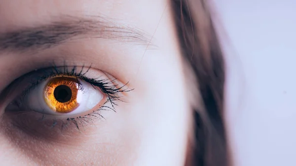 Karego gözleri güzel bir genç kadının Close-up. kahverengi gözleri çok yakın. İnsan gözü, makro fotoğrafçılık