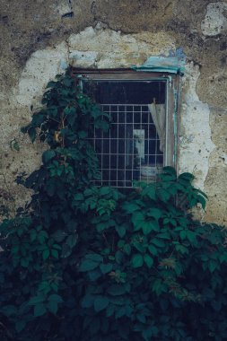 Eski pencere üzerinde terk edilmiş eski bir bina. Eski binaların iç eski ve pis duvarına.