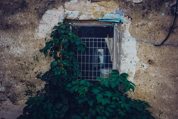 Eski Pencere Üzerinde Terk Edilmiş Eski Bir Bina Eski Binaların — Stok fotoğraf