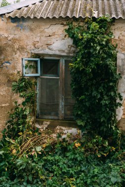 Terk edilmiş eski bir binanın eski penceresi. 