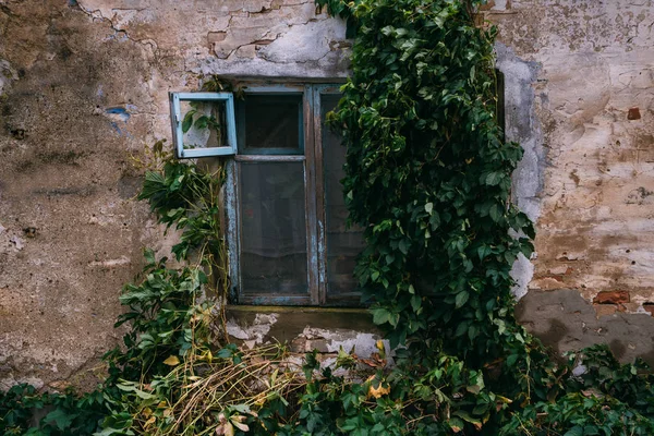 Vieja Ventana Viejo Edificio Abandonado —  Fotos de Stock