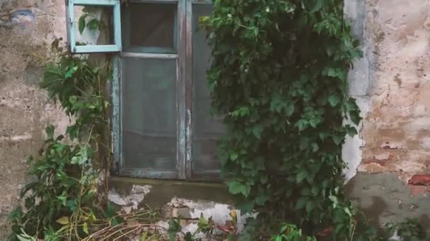 Vieja Ventana Viejo Edificio Abandonado — Vídeos de Stock