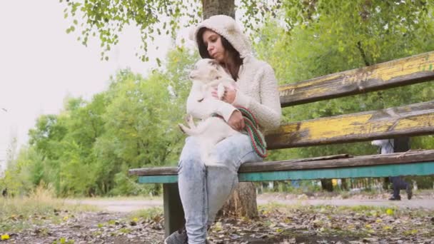秋天坐在长凳上的女孩和狗 — 图库视频影像