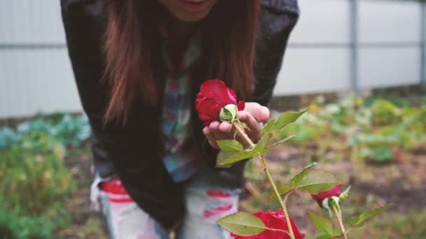 Πορτρέτο Του Όμορφη Γυναίκα Μυρίζει Τριαντάφυλλο Στο Πάρκο Γκρο Πλαν — Αρχείο Βίντεο