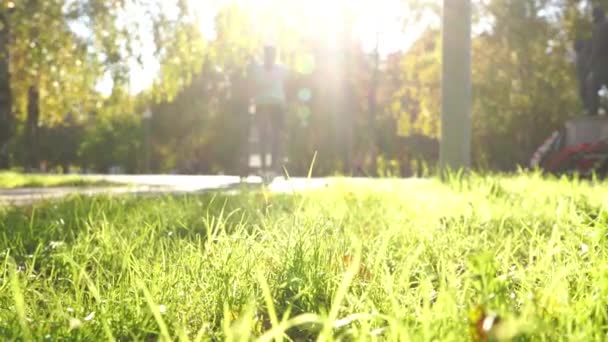 Erstaunlicher Herbst Herbstlandschaft Gelbe Und Rote Bäume Der Gasse Die — Stockvideo