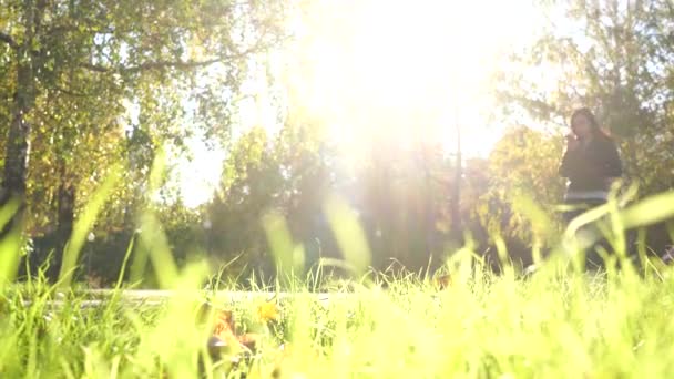 Erstaunlicher Herbst Herbstlandschaft Gelbe Und Rote Bäume Der Gasse Die — Stockvideo