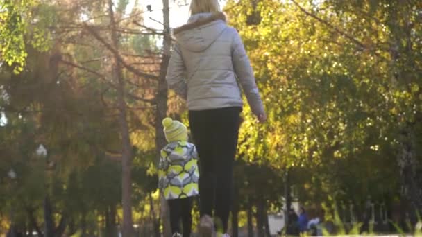 母亲和女儿徒步上秋园 — 图库视频影像
