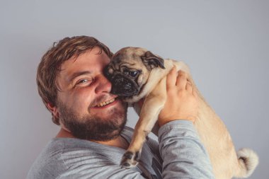 Şirin pug köpek yavrusu kollarında gri duvara tutan bir sakallı bir adam. İnsan ve köpek arasındaki dostluk kavramı. 