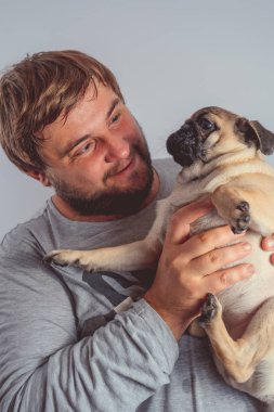 Şirin pug köpek yavrusu kollarında gri duvara tutan bir sakallı bir adam. İnsan ve köpek arasındaki dostluk kavramı. 