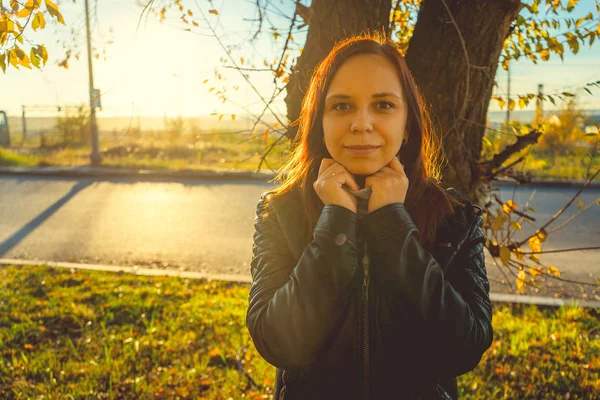 Jeune Jolie Femme Parc Automne Coucher Soleil Avec Rangée Arbres — Photo