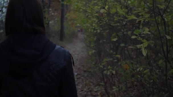 Young Girl Walking Autumn Park Woman Outdoors Autumn Background Girl — Stock Video