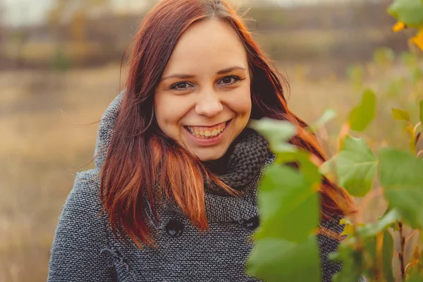 Ragazza Uno Sfondo Foglie Gialle Alberi Autunnali Sessione Fotografica Autunnale — Foto Stock