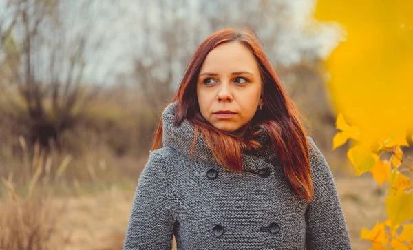 Dziewczyna Tle Żółtych Liści Jesiennych Drzew Jesienna Sesja Zdjęciowa Jesień — Zdjęcie stockowe