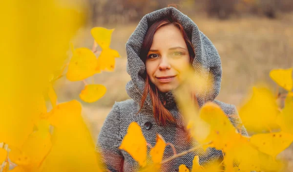 Mädchen Auf Einem Hintergrund Aus Gelben Blättern Von Herbstbäumen Herbst — Stockfoto