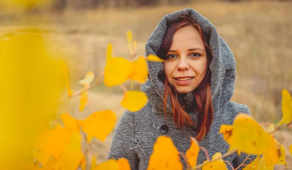 Mädchen Auf Einem Hintergrund Aus Gelben Blättern Von Herbstbäumen Herbst — Stockfoto