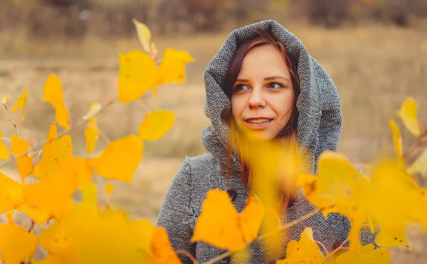 Mädchen Auf Einem Hintergrund Aus Gelben Blättern Von Herbstbäumen Herbst — Stockfoto