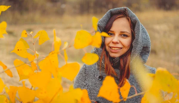 Mädchen Auf Einem Hintergrund Aus Gelben Blättern Von Herbstbäumen Herbst — Stockfoto