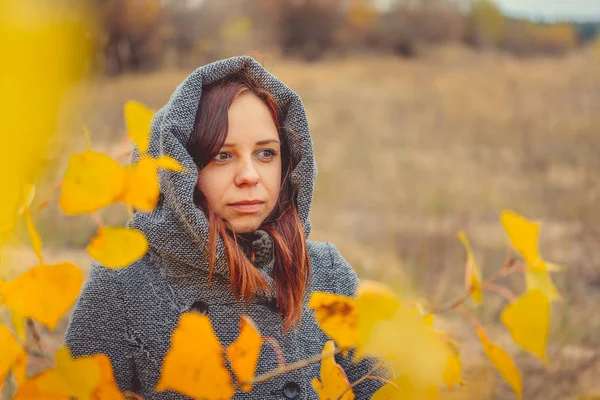 Niña Sobre Fondo Hojas Amarillas Árboles Otoñales Sesión Fotográfica Otoño — Foto de Stock