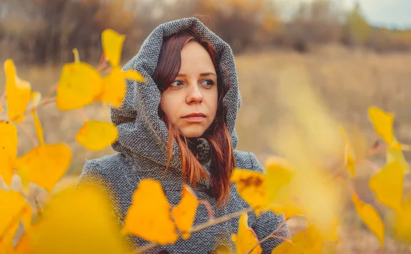 Mädchen Auf Einem Hintergrund Aus Gelben Blättern Von Herbstbäumen Herbst — Stockfoto