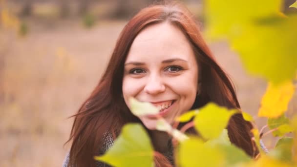 秋の木々 の黄葉の背景の女の子 秋のフォト セッション 屋外で歩く秋の女性 — ストック動画