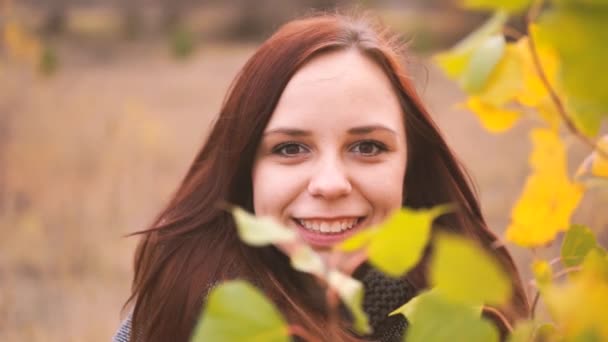 Niña Sobre Fondo Hojas Amarillas Árboles Otoñales Sesión Fotográfica Otoño — Vídeos de Stock