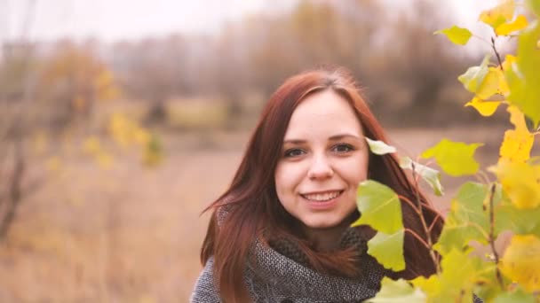 Fille Sur Fond Feuilles Jaunes Arbres Automne Séance Photo Automne — Video