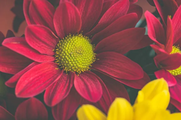 Still life of red and yellow flowers