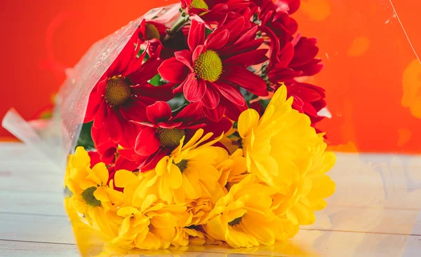 Bodegón Flores Rojas Amarillas — Foto de Stock