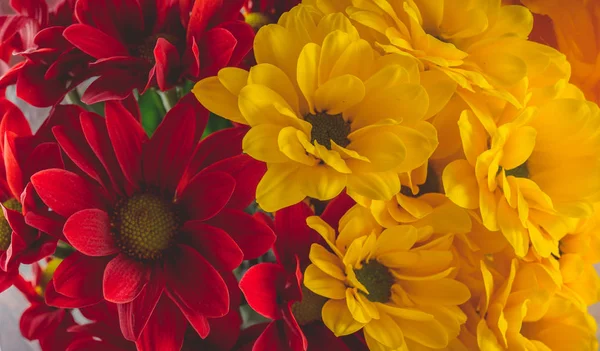 Still life of red and yellow flowers